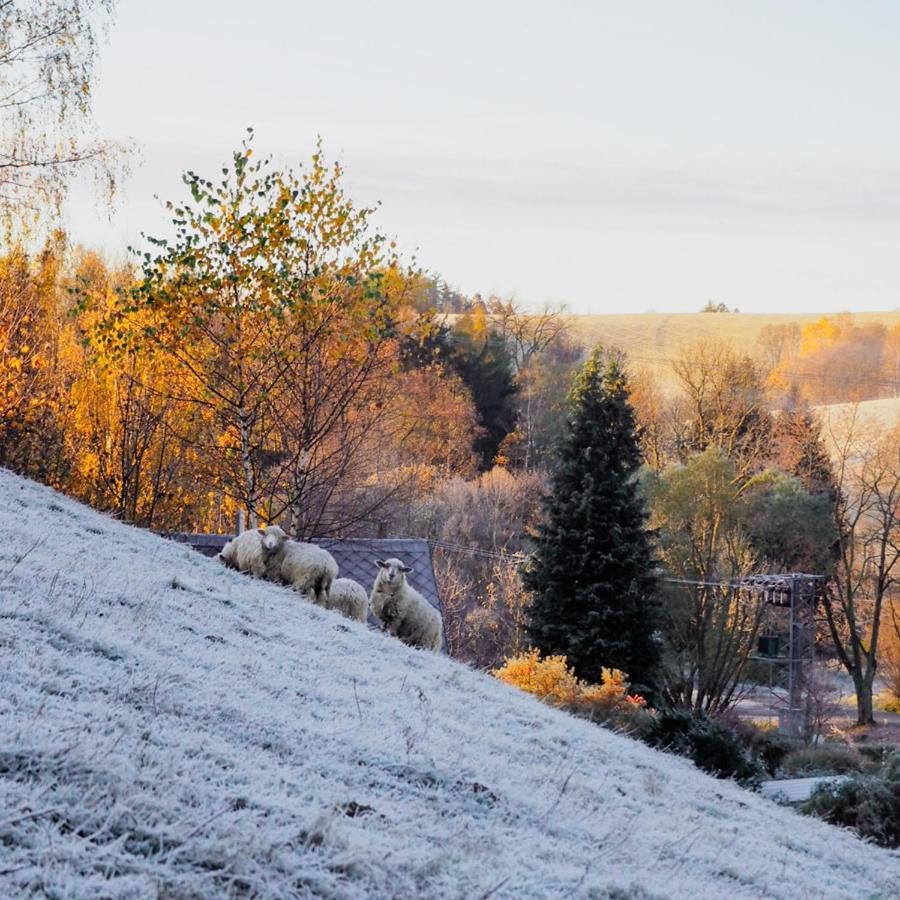 Penzion Sleglov ภายนอก รูปภาพ